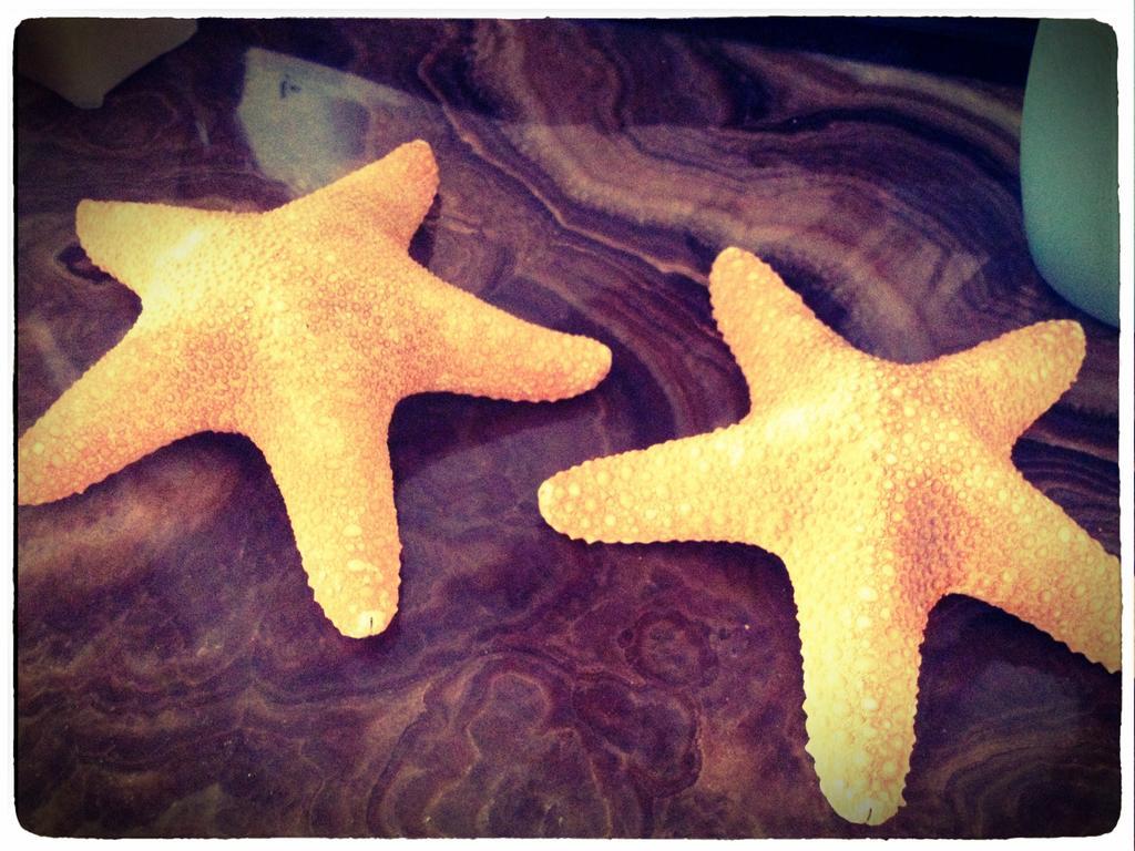 B&B Borgomarino เปสการา ภายนอก รูปภาพ
